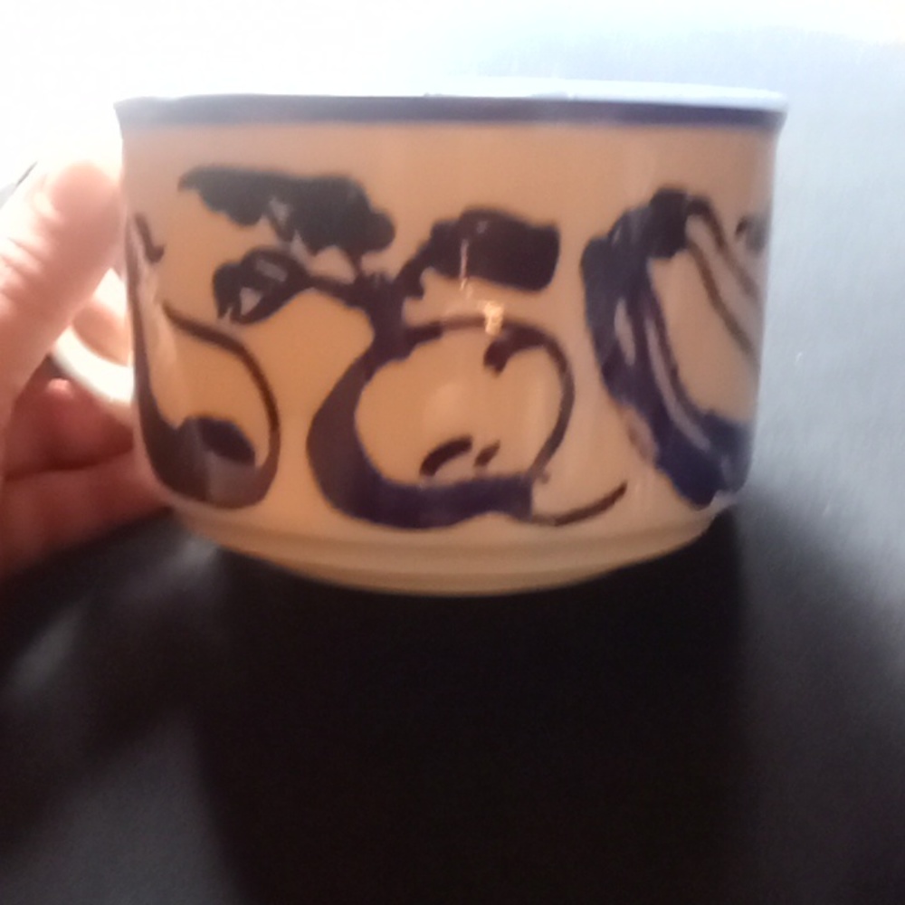 Japanese soup bowel